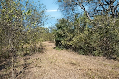 2805 Vz County Road 3507, Wills Point, TX 75169 - photo 3