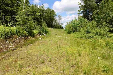 0 Valley View Extension unit 10 4846036, Andover, VT 05143 - photo 4