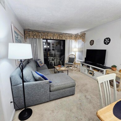 2405 S Ocean Blvd unit 210, North Myrtle Beach, SC 29582 - photo 2