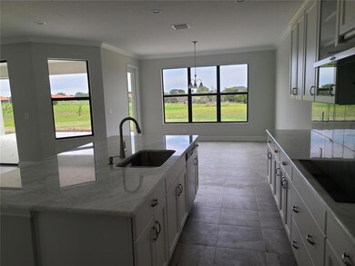 3406 Lake Cortona Way, Wimauma, FL 33598 - photo 5