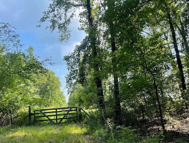 0 Main St, Mantee, MS 39751 - photo 5