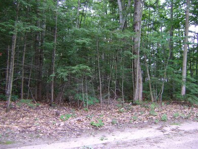 00 Spitzen St unit 109, Moultonborough, NH 03254 - photo 5