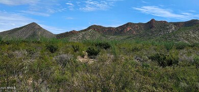 Lots 3 & 4 S Lonesome Dr unit 3, Hereford, AZ 85615 - photo 2