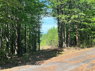 0 S Mountain Dr unit 16 CAR4256054, Nebo, NC 28761 - photo 2