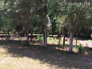 4080 Hidden Acre Rd, Middleburg, FL 32068 - photo 2