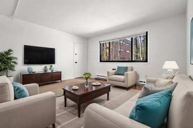 18 Pierce St unit 4, Foxboro, MA 02035 - photo 3