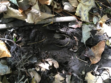 19-X Streamview Dr, Harmony, ME 04942 - photo 5