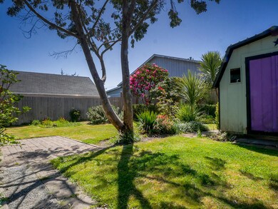 Backyard w/ shed