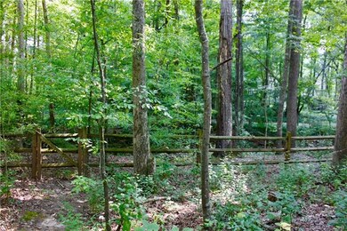 Fenced in yard, yet property goes beyond the fence