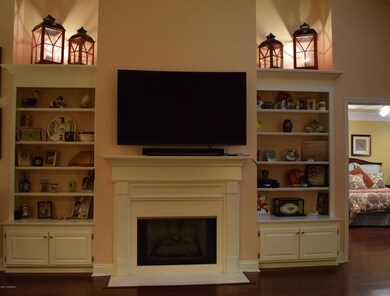 Fireplace and built ins in the great roo