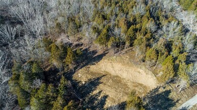 Cleared area at top of driveway