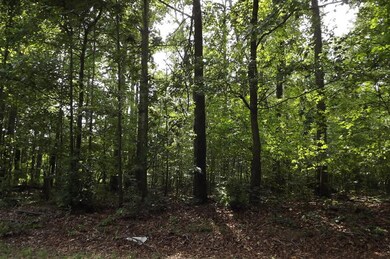 Additional View