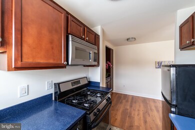 2303 Farrington Ave unit 203, Alexandria, VA 22303 - photo 5
