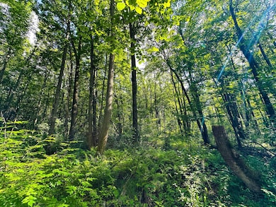 TBD U S 12, Wilson, WI 54027 - photo 2