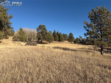 71 Elkhorn Cir, Florissant, CO 80816 - photo 7