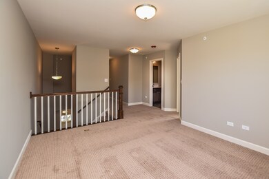 1114 E Bauer Rd, Naperville, IL 60563 - photo 4