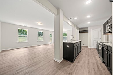 703 E Dunlap St, Lancaster, SC 29720 - photo 7