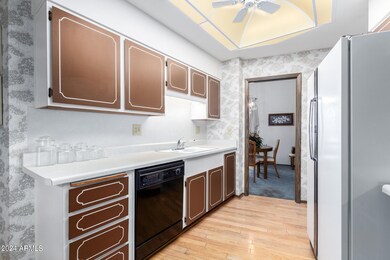 10717 W Wheatridge Dr, Sun City, AZ 85373 - photo 4