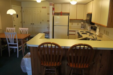 167 Deer Park Dr, Woodstock, NH 03262 - photo 3