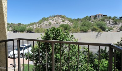 Views of Desert Landscape!