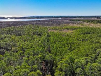 200+AC Buzzard Point Rd, Diggs, VA 23045 - photo 2