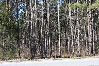 00 Hwy 161 Hwy, Clover, SC 29710 - photo 5