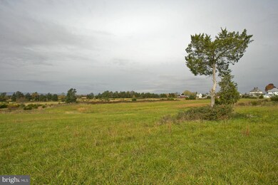 947 N River Rd, Middletown, VA 22645 - photo 5