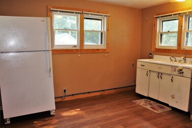 3855 Underwood Dr, Bitely, MI 49309 - photo 4