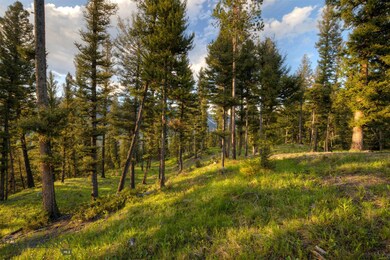 TBD Lot 14 Grey Drake Rd, Big Sky, MT 59716 - photo 3