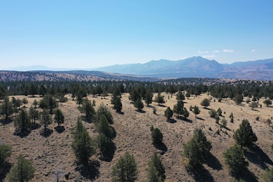 0 Tl 2400 Wiley Creek Rd, Mount Vernon, OR 97865 - photo 3