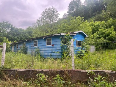 918 Spurlock Fork, Dana, KY 41615 - photo 6