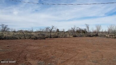 Rear Yard