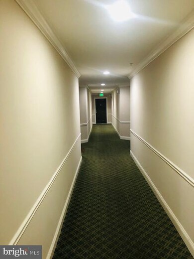 4700 Coyle Rd unit 206, Owings Mills, MD 21117 - photo 5