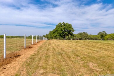 0 Farm To Market Road 812, Cedar Creek, TX 78612 - photo 6