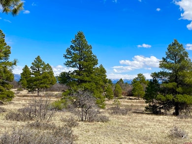 21 Eiffel Ct, Pagosa Springs, CO 81147 - photo 2