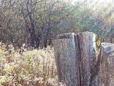 Land/Lot.