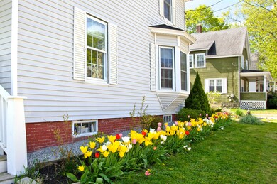 Tulips