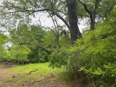 354 Lipan Trail, Horseshoe Bend, TX 76087 - photo 5