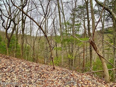 0 Oliver James Way unit 1278736, Sevierville, TN 37862 - photo 4