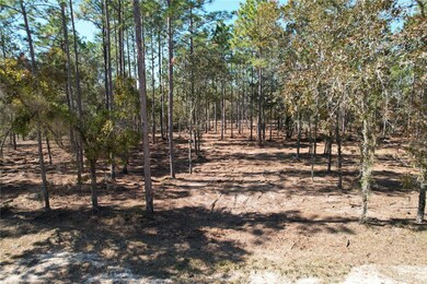 0 NE 93rd Terrace unit MFRO6363163, Archer, FL 32618 - photo 5