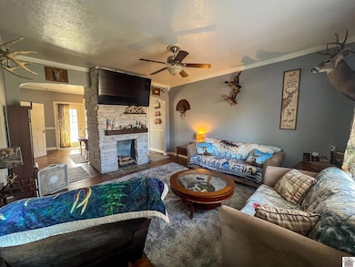 227 State Highway 1748 E, Mayfield, KY 42066 - photo 3