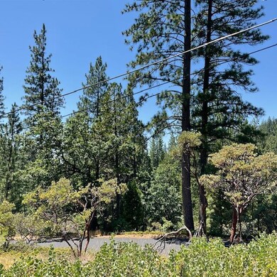 1943 Lightning Ln, Arnold, CA 95223 - photo 3