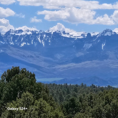 173 Kendall Rd, Ridgway, CO 81432 - photo 7