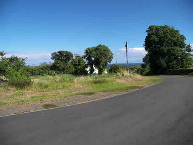 0 Mamalahoa Hwy, Hilo, HI 96720 - photo 4