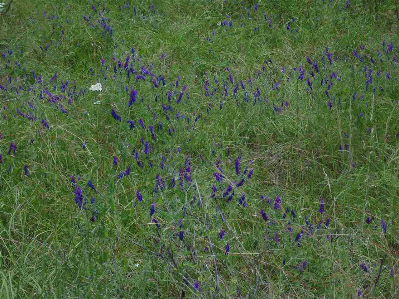 00 E Robin Lane Lot 4 Ln, Chattaroy, WA 99003 - photo 5