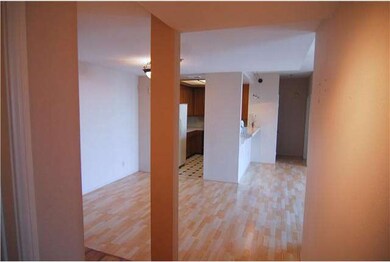 Entry looking toward kitchen