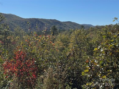 667 Laurel Thicket Ln, Brevard, NC 28712 - photo 4