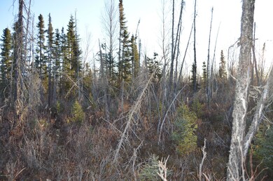 4082 Pond Lily Ln, Wasilla, AK 99654 - photo 7