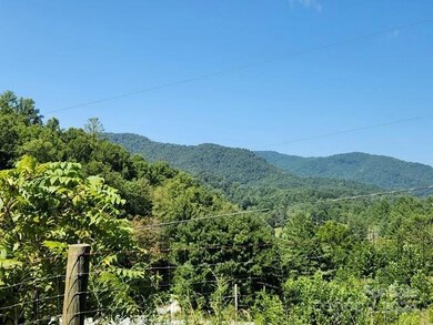 TBD Evergreen Rd, Burnsville, NC 28714 - photo 4