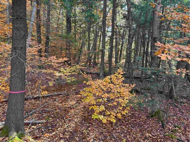 9 Huttwil Dr, Ossipee, NH 03849 - photo 4